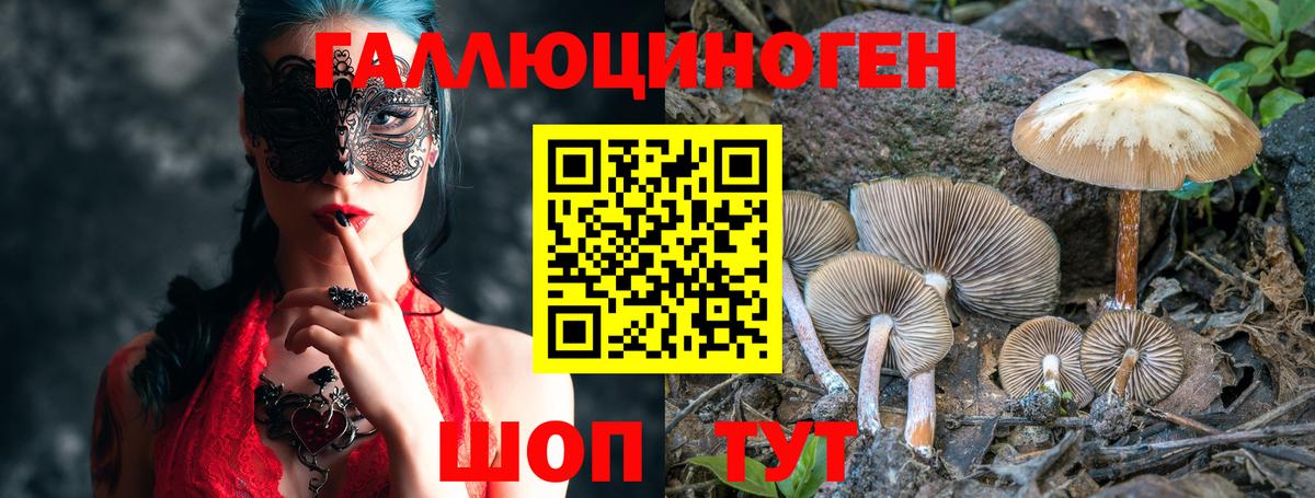 Галлюциногенные грибы Cubensis Ростов-на-Дону
