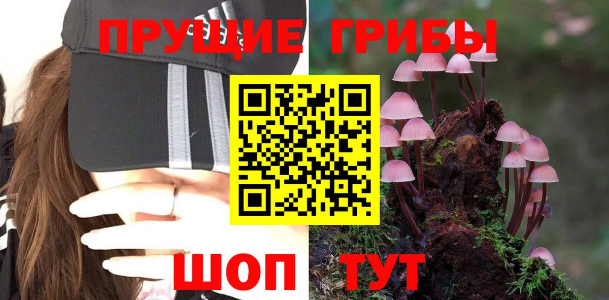Галлюциногенные грибы Magic Shrooms  Вход с VPN  Ростов-на-Дону 